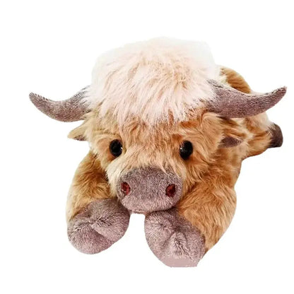 Cozy Highland Cow