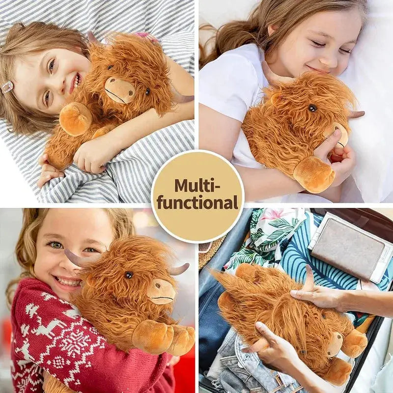 Cozy Highland Cow